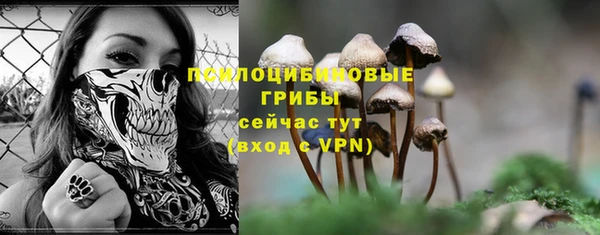 марки lsd Переславль-Залесский