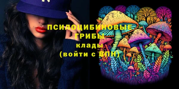 индика Пересвет