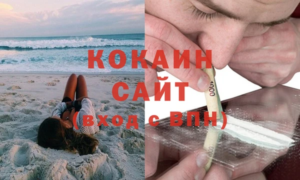 индика Пересвет